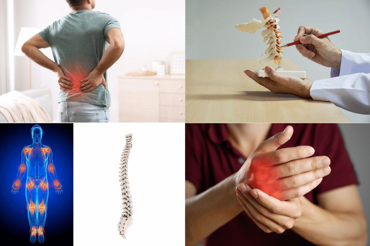 Formation Gestes, Postures et Prévention des TMS Sabrina FOUCAUD FORMA PREV SST