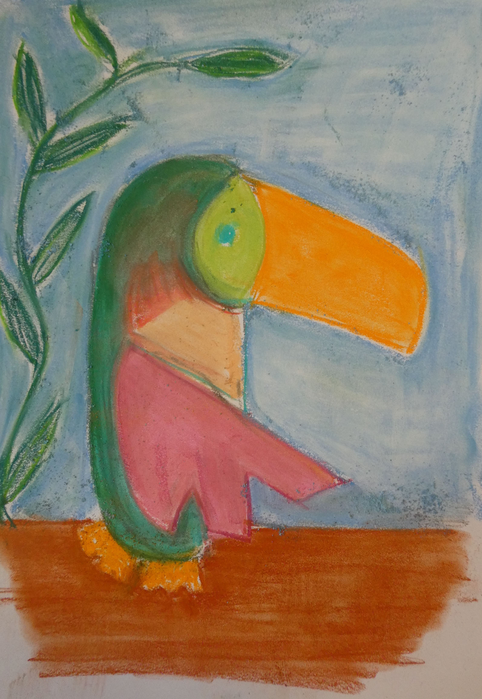 Pelican