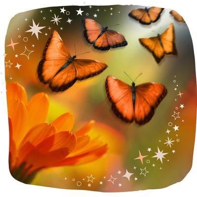 Accompagner votre évolution et votre éveil avec "Le souffle du papillon"